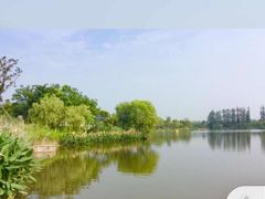 -上海长兴岛郊野公园