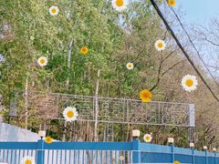-枫花园汽车电影院(朝阳公园店)