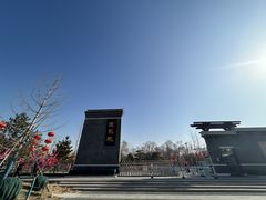 -莲花池公园