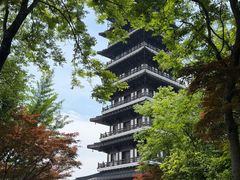 -宜兴龙背山森林公园