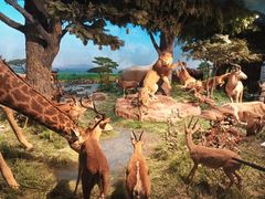 -国家自然博物馆