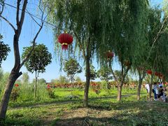 -同銮特种养殖场·龙虾垂钓