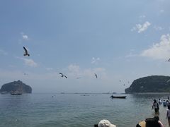 -棒棰岛宾馆景区