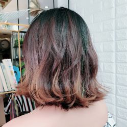 短发-MG Style Salon