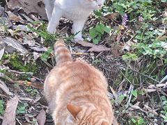 -终南山南五台景区