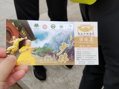 门票-嵩山少林文化旅游景区