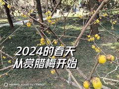 -颐和园