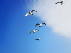 -滇釜火锅·能喝汤的火锅(车公庄店)