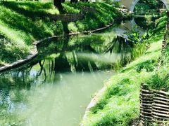 -北坞公园
