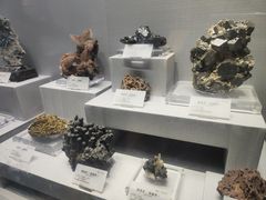 -湖南省地质博物馆