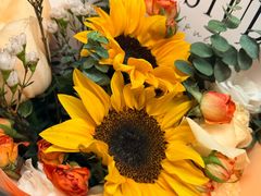 -柿子树炭烤羊腿(金台路店)