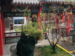 -碑林公园