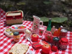 -合肥滨湖国家森林公园