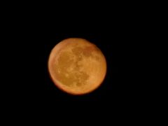 -我家小院川菜馆(杨家湾地铁站店)