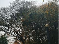 -晓港公园