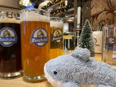 -巴伐利亚啤酒坊(意式风情街店)