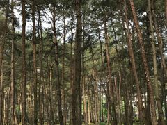 -Club Med地中海俱乐部·桂林度假村