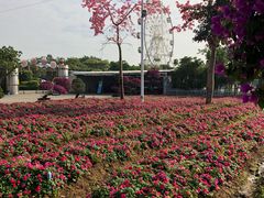 -广东花都香草世界旅游度假区