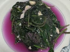 -全乐鱼馆·淳牌有机鱼直营店