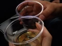 -蒙特利尔皮埃尔·埃利奥特·特鲁多国际机场