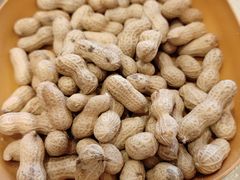 -鹤乡东北菜(崮山路店)