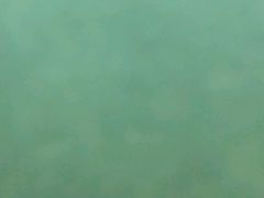 -白鹤梁水下博物馆