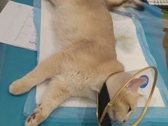 -美迦爱-牙专科·兔科·骨科诊疗中心(北苑店)