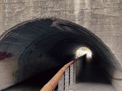 -白水寺森林公园
