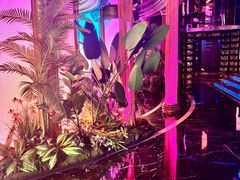 -温莎KTV(珠江路店)