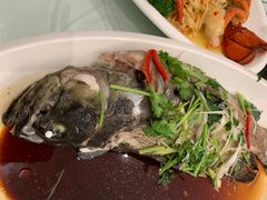 -河南省黄河迎宾馆