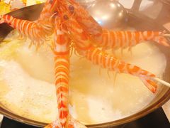 -鲜入围煮花胶鸡海鲜火锅