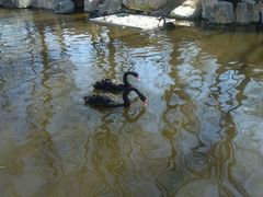 -石家庄市动物园