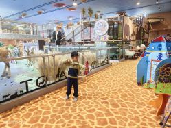 -卡通尼·Safari非洲探索乐园·生日会(金桥国际商业广场店)