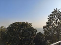 -麦当劳(华融店)