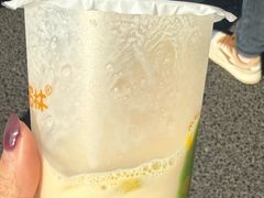 -猫的魔法密林(衣裳街店)