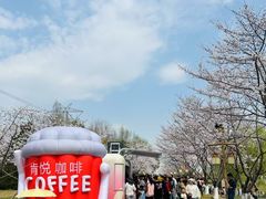 -长田漾湿地公园