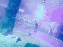-北戴河圣蓝海洋公园