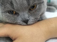 -小伙伴宠物医院•急重症转诊中心·老年专科·犬猫全科(北大街总院)