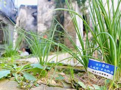 -上坦村