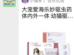 -小猫来了·猫舍(红山六九七九店)