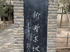 -中原大佛景区