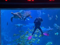 -太平洋海底世界