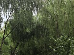 -尚贤河湿地