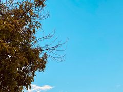 -河南省黄河迎宾馆