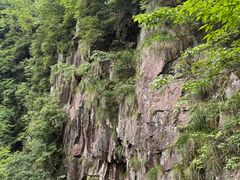 -浙北大峡谷