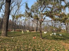 -北京宽沟会议中心