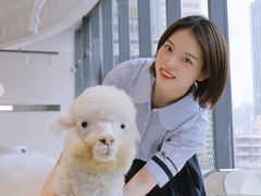 -怪兽屋·羊驼·猫咖·狗咖(俊华广场店)