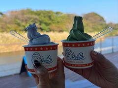 -济州森林小火车生态公园