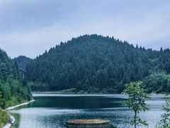 -武陵山森林公园