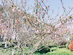 -杭州城北体育公园